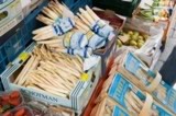 white_asparagus.png